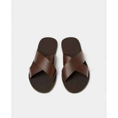 Bestizzy Palm Slippers For Men Brown Profile Picture
